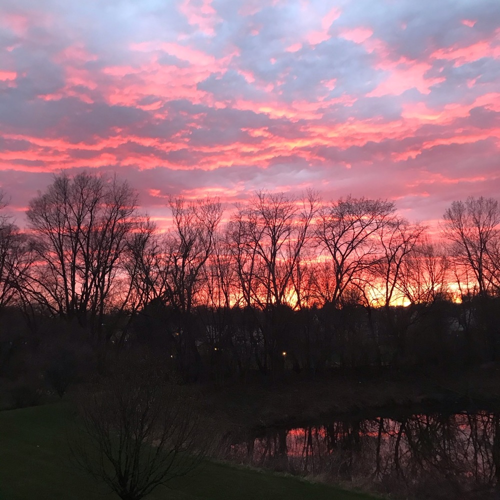 Meet your Posher, Tess